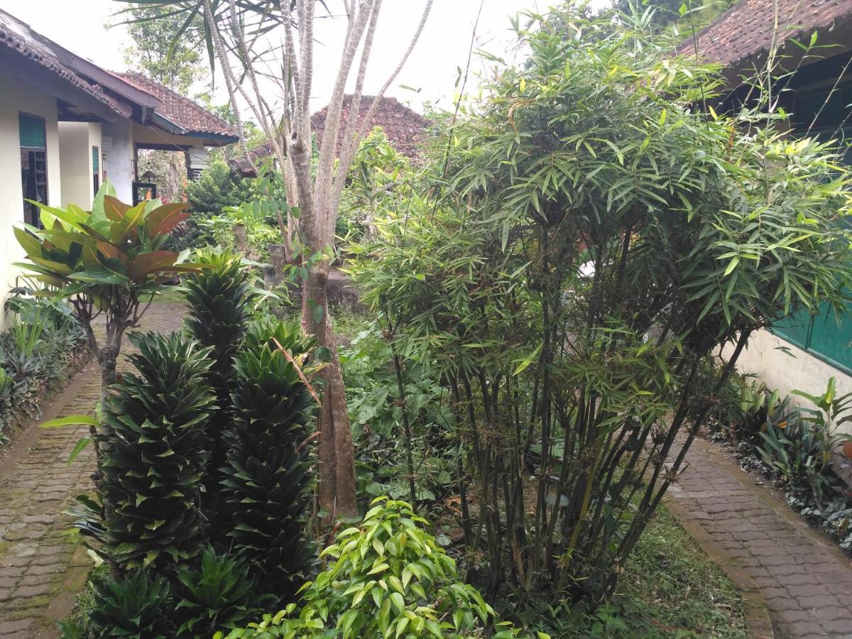 Dhangin Taman Karangasem  Exterior photo